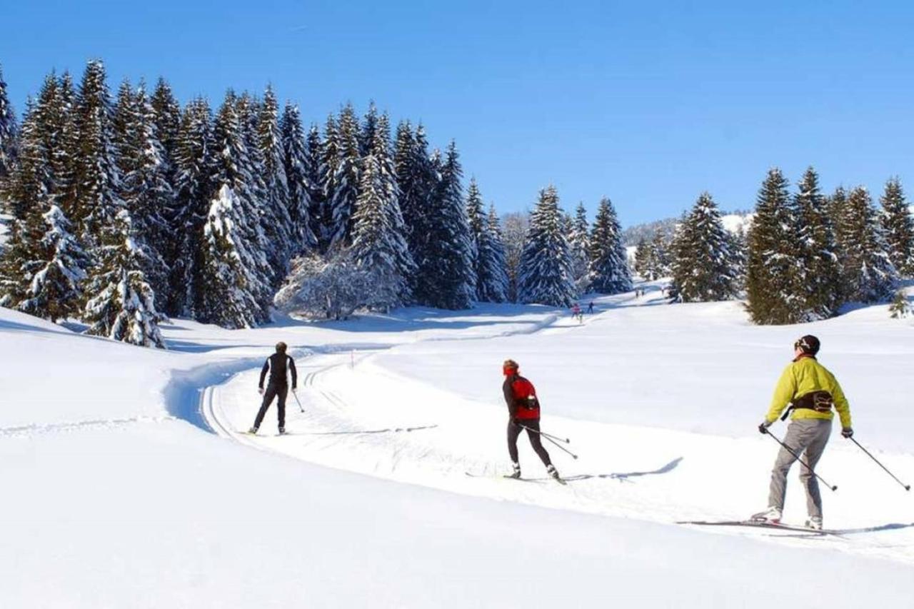 Le 67,Ski Et Randonnee,Lave Linge,Seche Linge,Parking Bernex Dış mekan fotoğraf