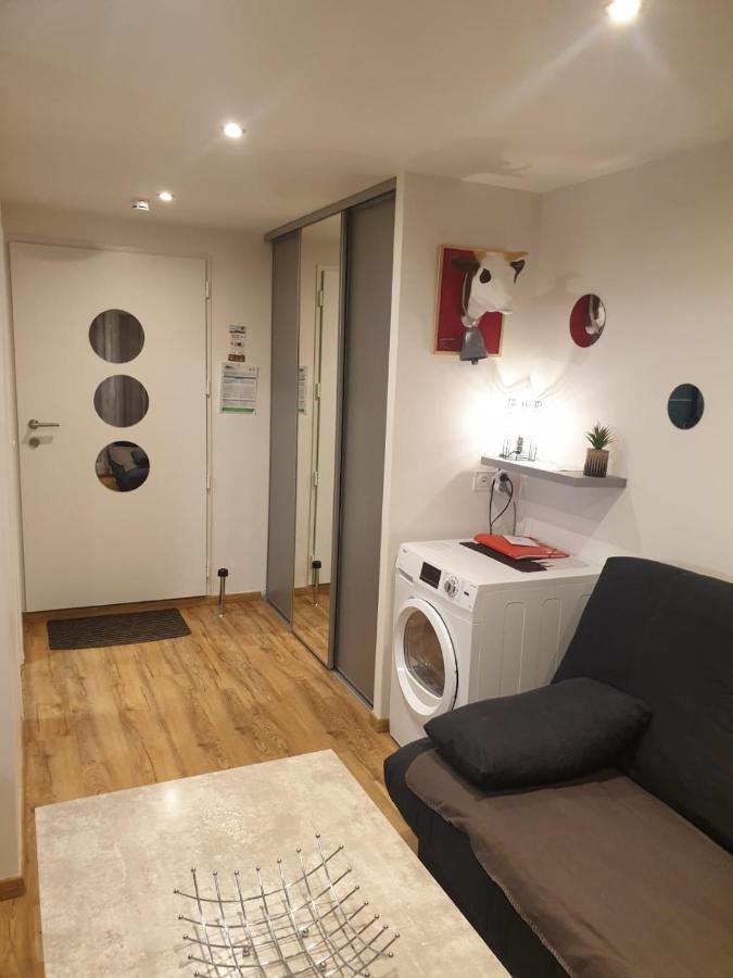 Le 67,Ski Et Randonnee,Lave Linge,Seche Linge,Parking Bernex Dış mekan fotoğraf